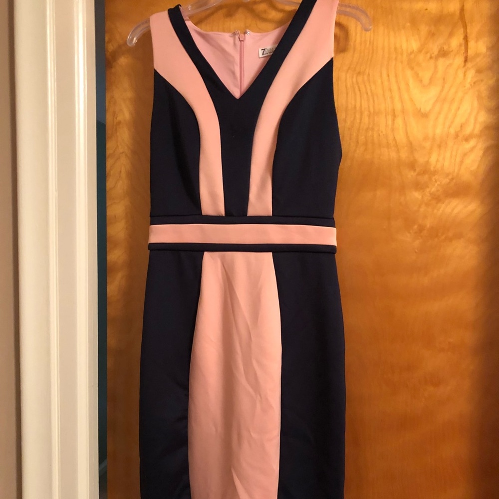 Pink and Navy dress from New York and Company.